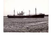 Loudima_2